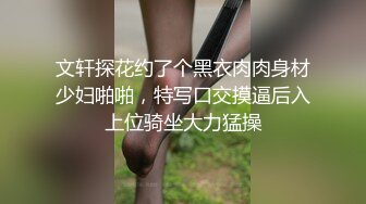 文轩探花约了个黑衣肉肉身材少妇啪啪，特写口交摸逼后入上位骑坐大力猛操