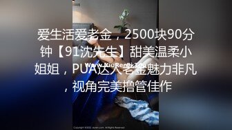 爱生活爱老金，2500块90分钟【91沈先生】甜美温柔小姐姐，PUA达人老金魅力非凡，视角完美撸管佳作