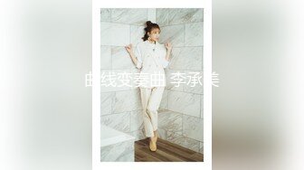 曲线变奏曲 李承美