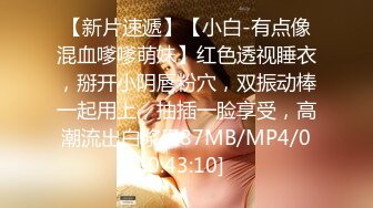 [MP4]麻豆传媒正统新作MD137-窃贼误闯阴道内 E奶贵妇强上傻小贼 巨乳新人钟丽琪