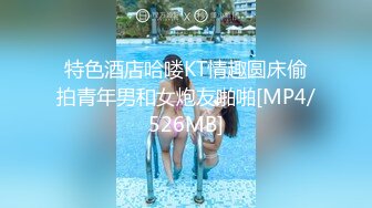 STP30726 国产AV 红斯灯影像 RS027 风骚女屋主色诱打工男 莉娜