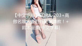 【中文字幕】SORA-203+高傲名媛人妻野外恥辱調教！+鈴木里美[中文字幕]