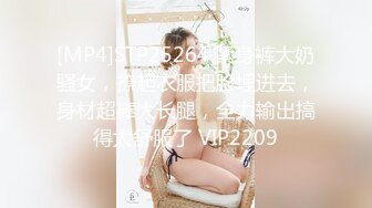 美丽侧颜的老婆卖力的口交中