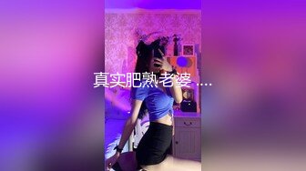 [MP4]STP29098 國產AV 麻豆傳媒 麻豆US LAA0069 私人性愛秀 VIP0600