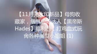 国产CD系列伪娘蜜雅义乳黑丝坐骑假JJ 插到前列腺高潮呻吟不止