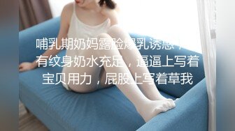 后入双马尾可爱女友