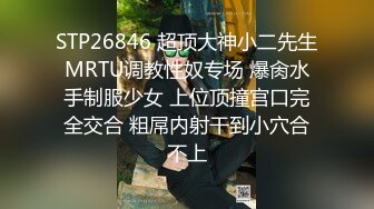 后入式快速抽插  国语对白