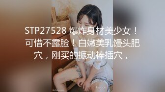 特阿欣情趣人體私拍寫真套圖[236P/1.87G]