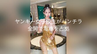 ヤンキー女子校生がパンチラ全開で電車を占拠