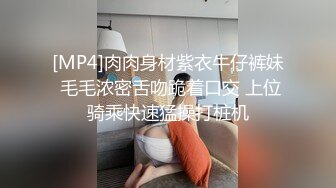 成都精品婊子