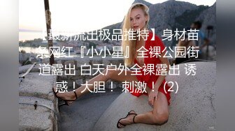 起点传媒 xsjky-073 黑道小弟策反抢巨乳嫂子-陆斑比