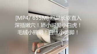 调教骚母狗2