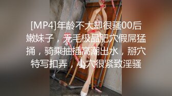 2024一月最新流出❤️巅峰视角系列⭐商场女厕全景露脸后拍商场工作人员小妹和同事报告厕所发现了什么