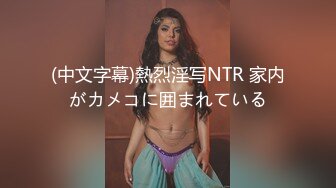 (中文字幕)熱烈淫写NTR 家内がカメコに囲まれている