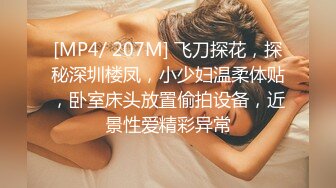 麻豆传媒 mfk-0011 秘密之妻子的男人