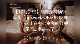 【10月新档】巅峰身材顶级豪乳「npxvip」OF私拍 哎呀，对不起！在办公室我的狐狸尾巴…塞进去了