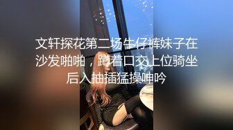 文轩探花第二场牛仔裤妹子在沙发啪啪，蹲着口交上位骑坐后入抽插猛操呻吟