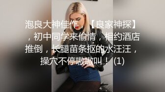 高难度操逼，女的身材和样貌都是极品