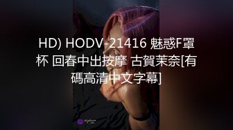 极品淫荡骚妻【爱丽丝】福利私拍第三弹，各种情趣制服，进出特写，对话超淫荡