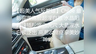 华人网黄刘玥闺蜜「Fanny Ly」「李月如」OF私拍 穿情趣内衣在公共卫生间玩玩具自慰出白浆