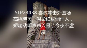 调教淫奴 极品91大神MRTU调教性奴专场 小二先生 情趣女仆肉棒插入完全失神 开始录了想不想被看~想我是小母狗