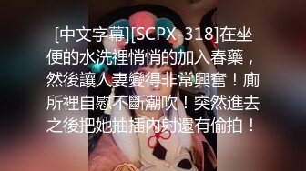 自录无水印【幺贝】P2 弹力十足的巨乳小白兔12月23-1月10【27V】 (26)