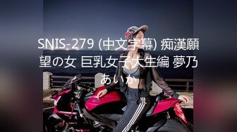 SNIS-279 (中文字幕) 痴漢願望の女 巨乳女子大生編 夢乃あいか