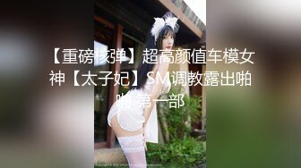 【重磅核弹】超高颜值车模女神【太子妃】SM调教露出啪啪 第一部