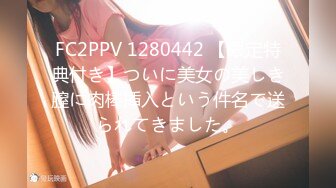 FC2PPV 1280442 【限定特典付き】ついに美女の美しき膣に肉棒挿入という件名で送られてきました。