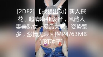 [2DF2] 【战狼出动】新人探花，超清晰4k设备，风韵人妻美熟女，极品大胸，姿势繁多，激情无限 - [MP4/63MB][BT种子]