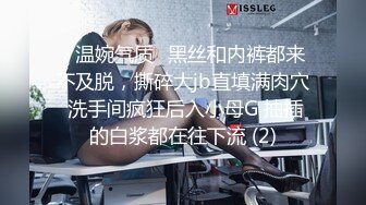 顶级精品！维拉舞团风骚气质小姐姐【瑶瑶】加密特五期，各种情趣透视露毛露奶劲曲热舞，表情抚媚挑逗看硬了 (11)