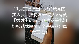 11月震撼流出，只约漂亮的美人妻，推特20W粉大V网黄【秀才】最新，各种反差小姐姐被花式爆肏，全是极品妞真羡慕 (1)