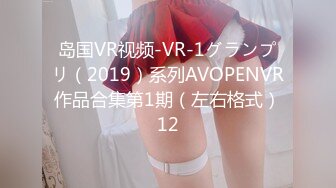 岛国VR视频-VR-1グランプリ（2019）系列AVOPENVR作品合集第1期（左右格式）12