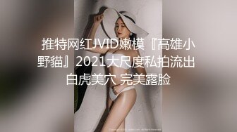 推特网红JVID嫩模『高雄小野貓』2021大尺度私拍流出 白虎美穴 完美露脸