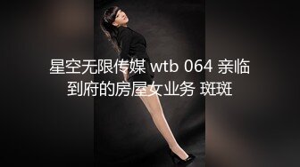 星空无限传媒 wtb 064 亲临到府的房屋女业务 斑斑