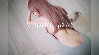 fc1160966_sp2 (4)