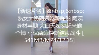 [MP4]放浪传媒 FX0003 傲慢女上司 苏雨彤