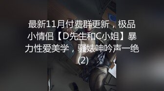 最新11月付费群更新，极品小情侣【D先生和C小姐】暴力性爱美学，骚婊呻吟声一绝 (2)