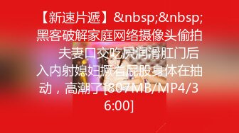 二月最新流出TW大神 （野狼）潜入景区女厕偷拍美女尿尿系列第33季怕脏的小靓妹撅着屁股尿尿