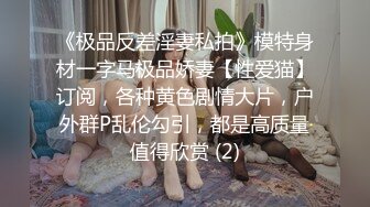 3P群P淫乱派对一 绿帽老公和单男3P淫妻 (3)