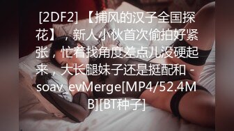 [2DF2]太子探花极品第二场约了个甜美性感妹子，穿上黑丝翘屁股掰穴站立后入猛操 [MP4/96MB][BT种子]