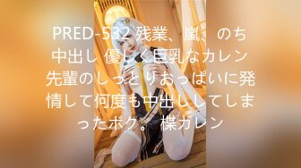 PRED-532 残業、嵐、のち中出し 優しく巨乳なカレン先輩のしっとりおっぱいに発情して何度も中出ししてしまったボク。 楪カレン